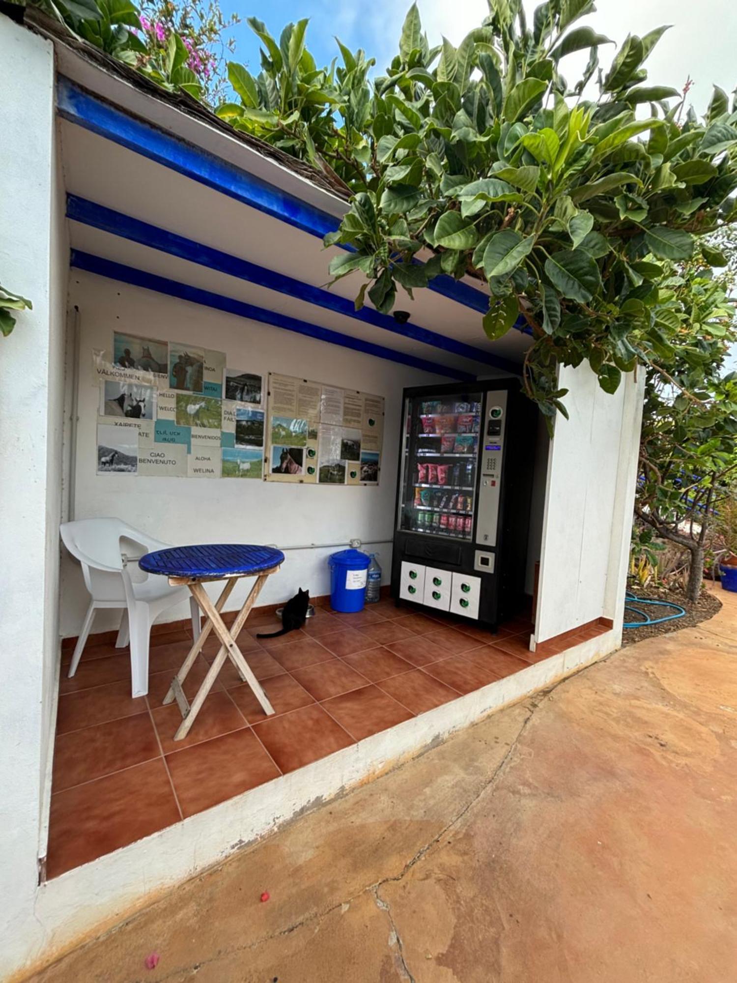 Apartamentos Y Habitaciones Villa Marina La Caleta  Exterior foto